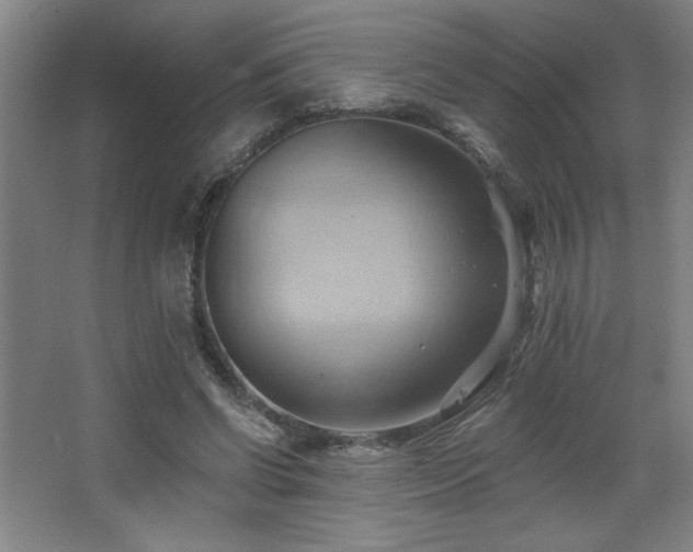 X0000068740542200604281142