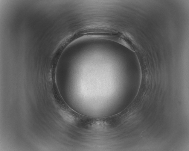 X0000068740543200604281142