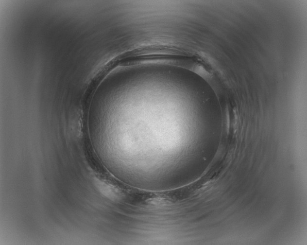 X0000068740544200604281142