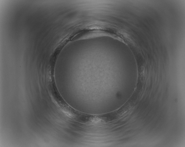 X0000068740547200604281142