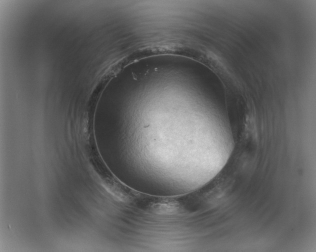 X0000068740548200604281142