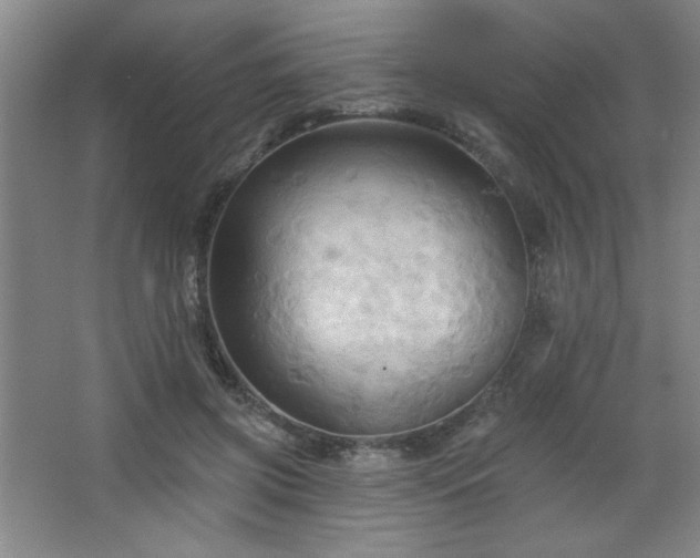 X0000068740549200604281142