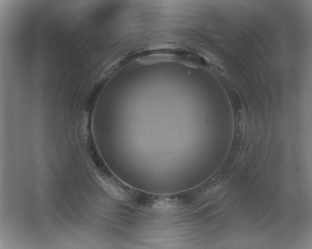 X0000068740550200604281142