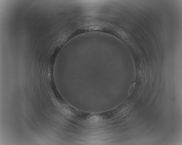 X0000068740551200604281142