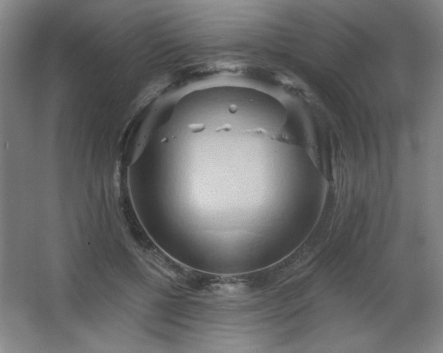 X0000068740552200604281142