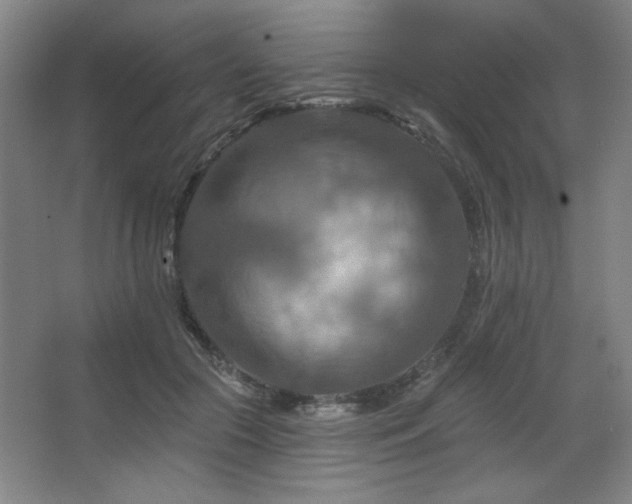 X0000068740553200604281142