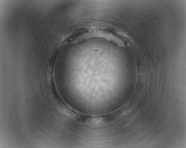 X0000068740554200604281142