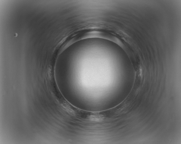 X0000068740556200604281142