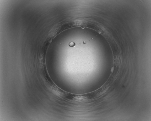 X0000068740557200604281142