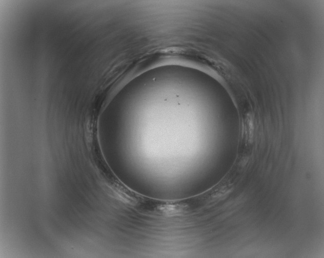 X0000068740558200604281142