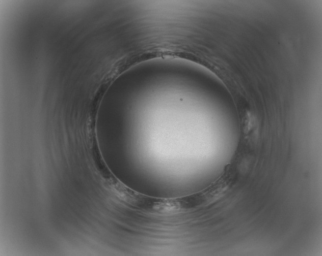 X0000068740559200604281142