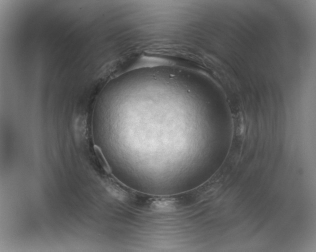 X0000068740560200604281142