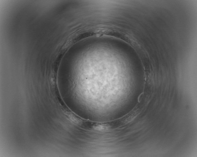 X0000068740561200604281142