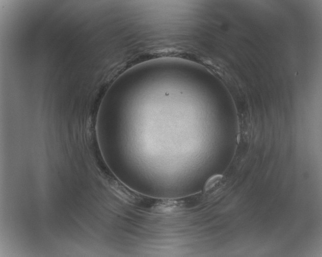 X0000068740563200604281142