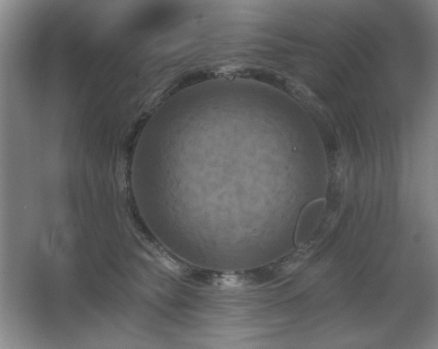 X0000068740565200604281142