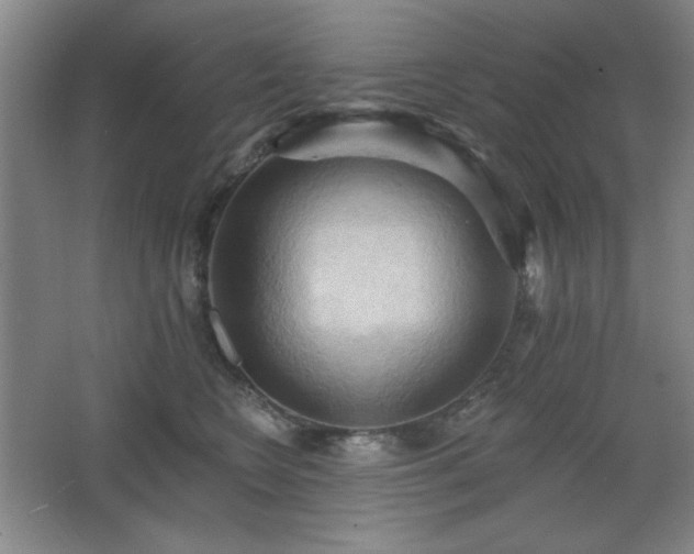 X0000068740566200604281142