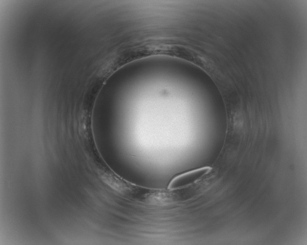 X0000068740567200604281142