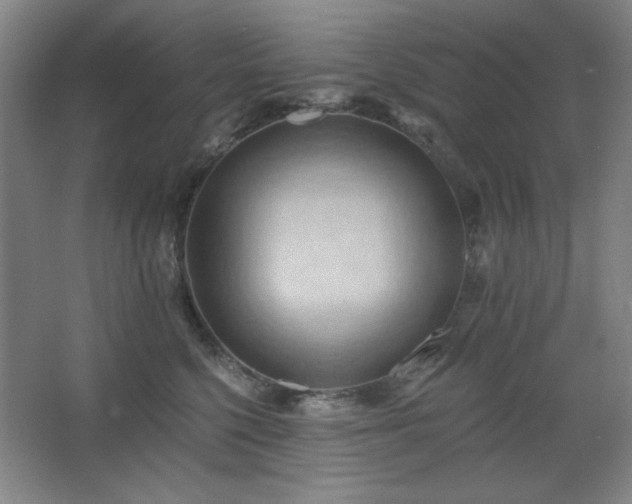 X0000068740568200604281142