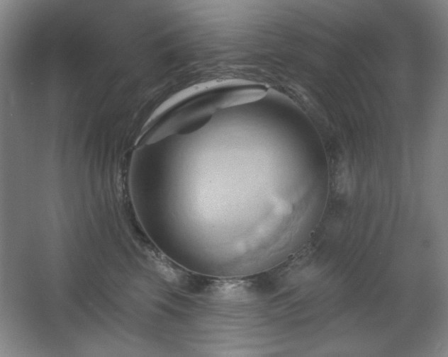 X0000068740569200604281142