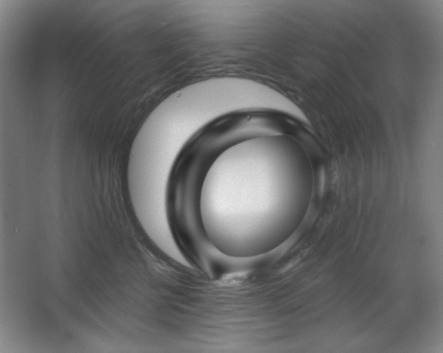 X0000068740570200604281142