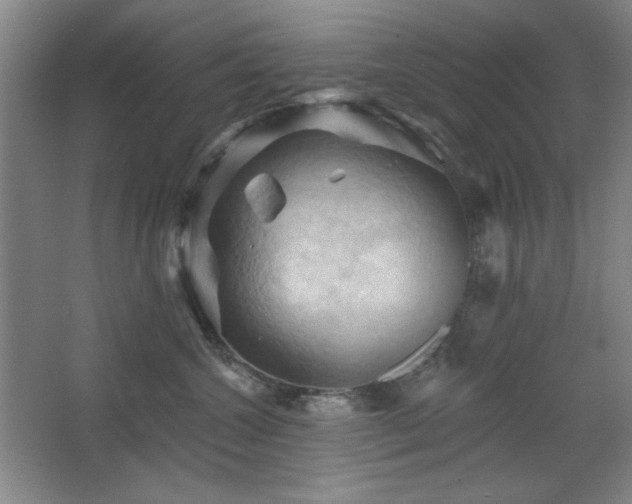 X0000068740572200604281142