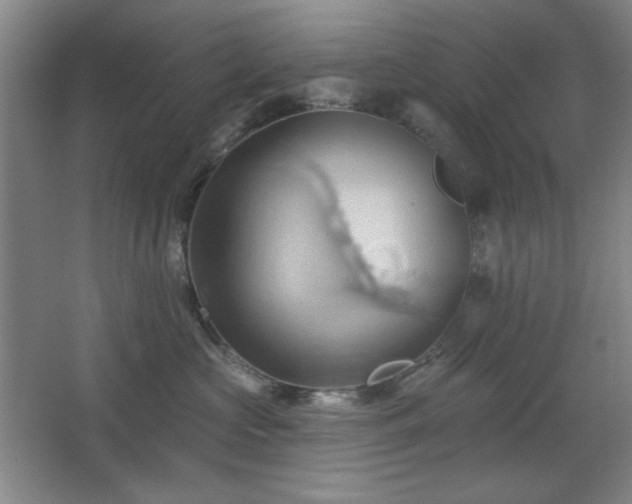 X0000068740573200604281143