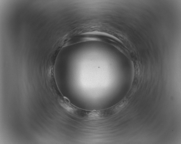 X0000068740574200604281143