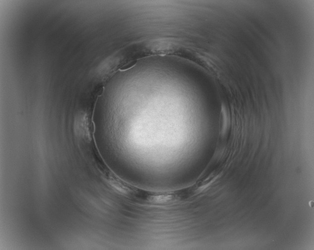 X0000068740575200604281143