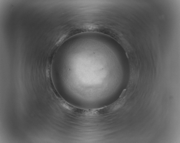 X0000068740576200604281143