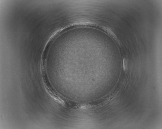 X0000068740579200604281142