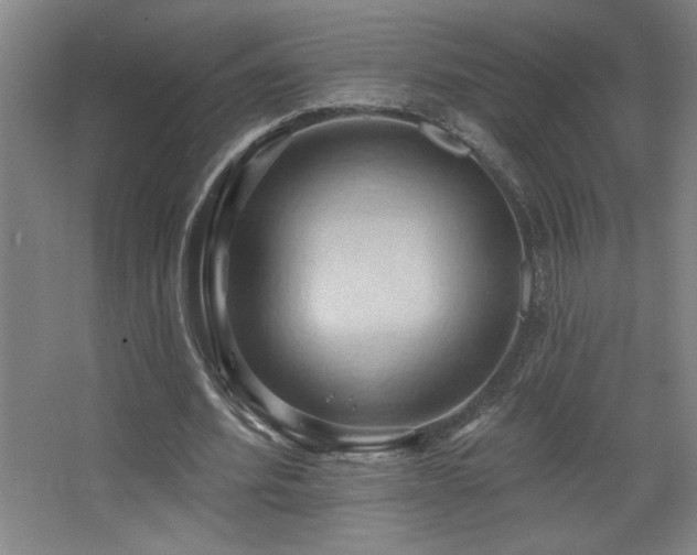 X0000068740580200604281142