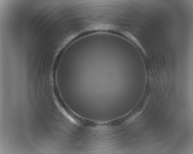 X0000068740581200604281142