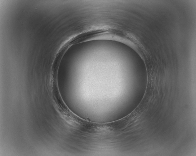 X0000068740583200604281142