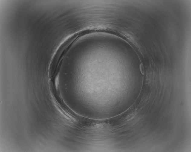 X0000068740584200604281142