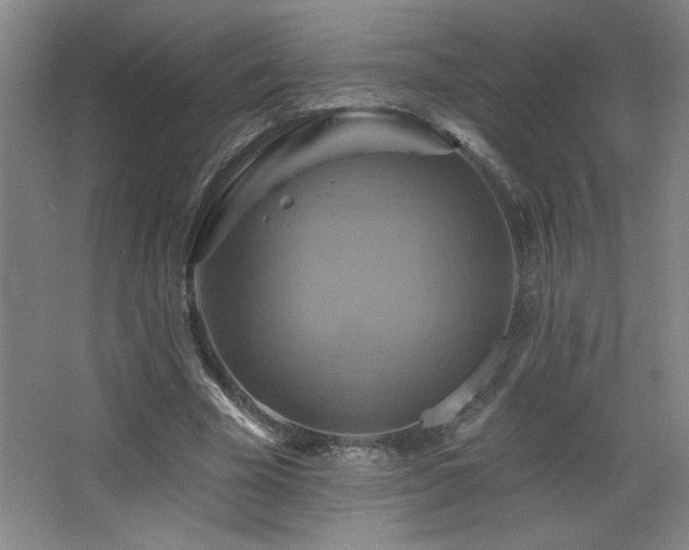 X0000068740585200604281142