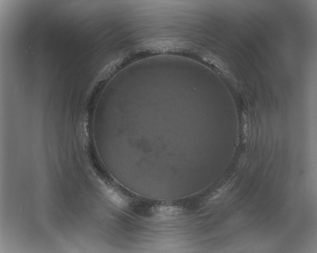 X0000068740590200604281142