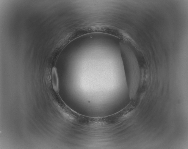 X0000068740593200604281141