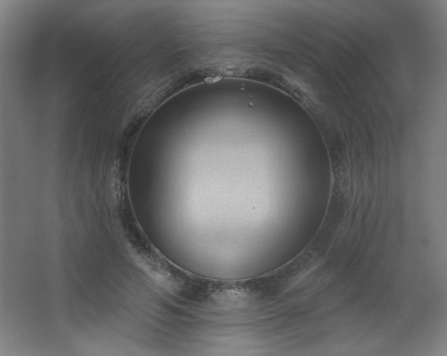 X0000068740594200604281141