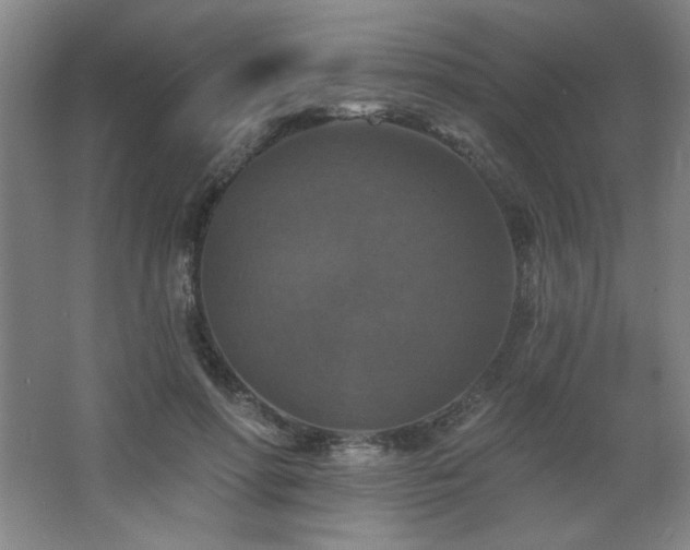 X0000068740598200604281141