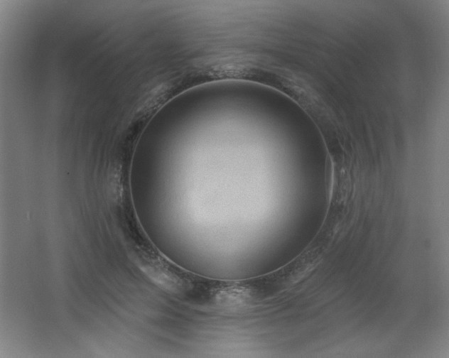 X0000068740599200604281141