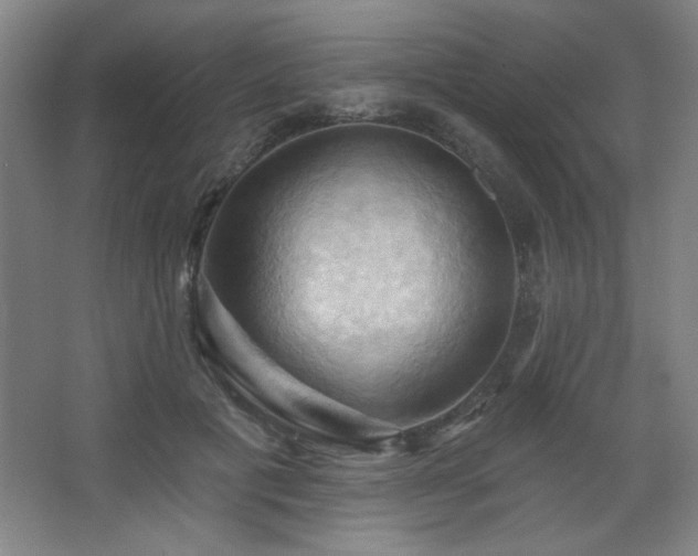 X0000068740601200604281141