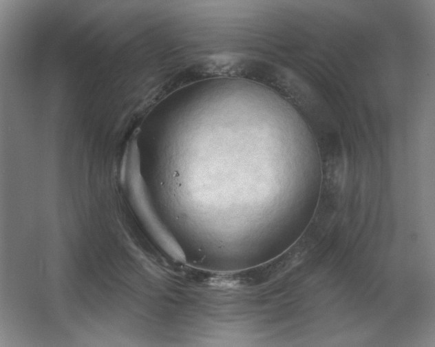 X0000068740602200604281141