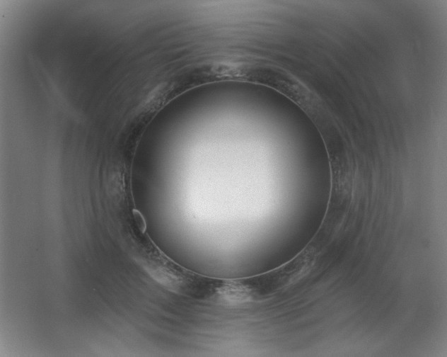 X0000068740603200604281141