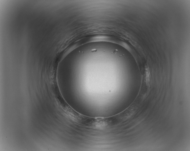 X0000068740604200604281141