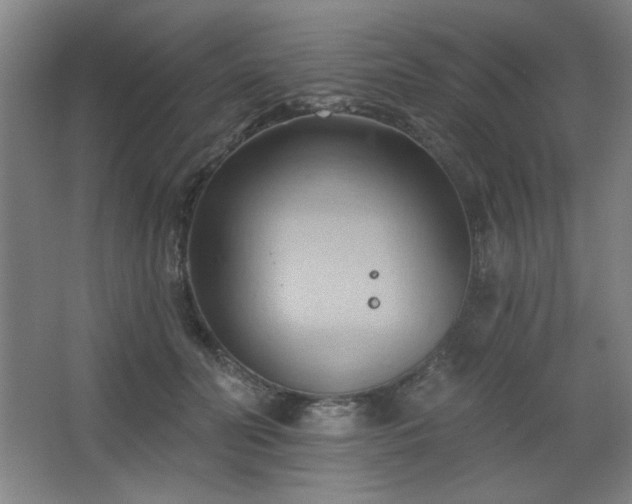 X0000068740606200604281141