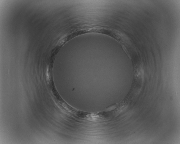 X0000068740607200604281141