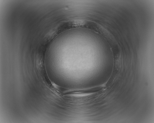 X0000068740608200604281141