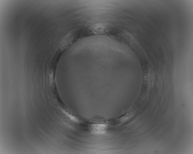 X0000068740610200604281141