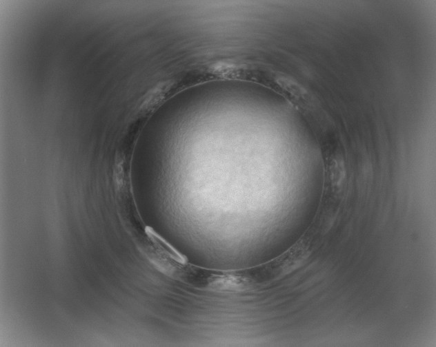 X0000068740611200604281141