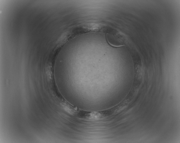 X0000068740612200604281141